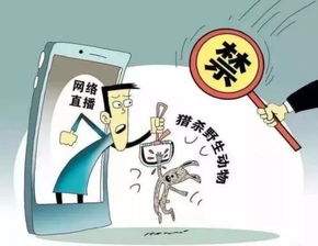 科技頻道 | 中國(guó)網(wǎng)信息咨詢(xún)平臺(tái) 連接科技與未來(lái)的信息樞紐