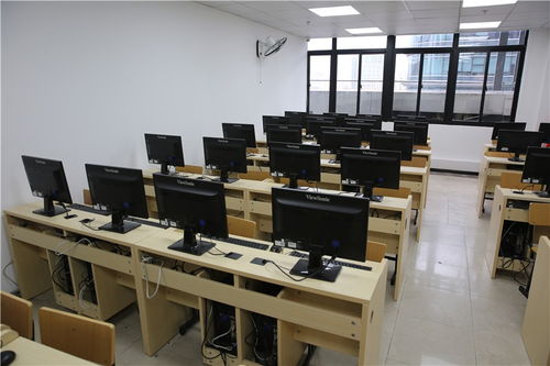 深圳軟件技術培訓全攻略 從軟件開發到游戲與數據庫實戰